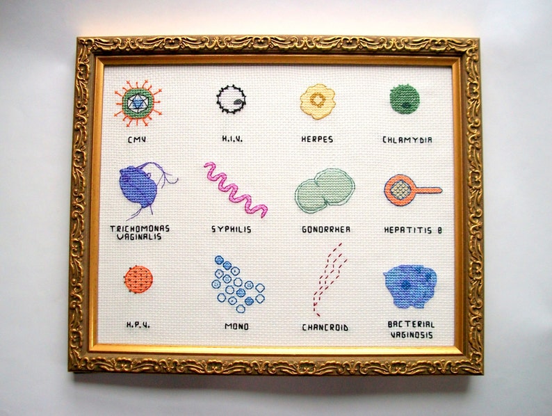 Microbe cross stitch sampler 8x10 a dozen microbes stitched for you, with a mounting board image 4