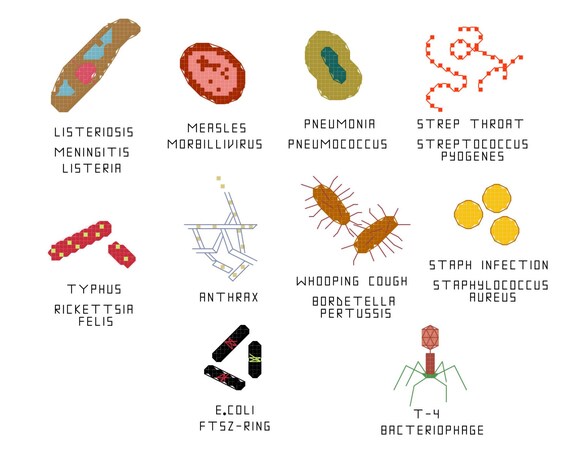 Cross Stitch Pattern Common Microbes Set 3 - 
