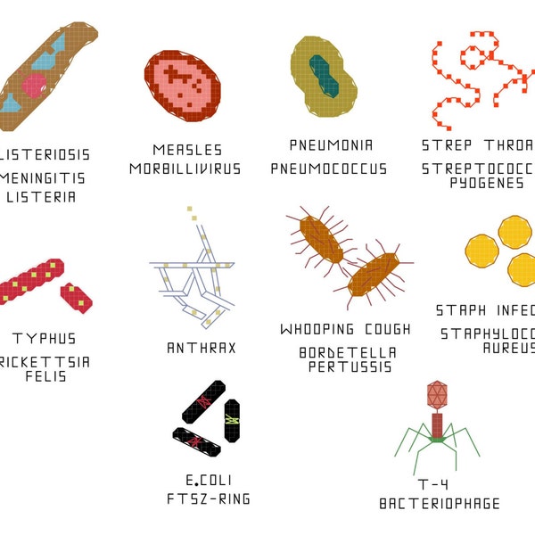 Cross Stitch Pattern -- Common Microbes, set 3