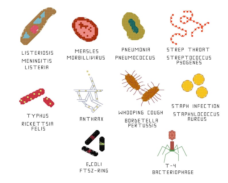 Cross Stitch Pattern Common Microbes set 3 image 0