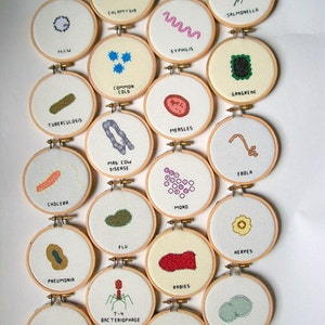 Microbe cross stitch sampler 8x10 a dozen microbes stitched for you, with a mounting board image 5