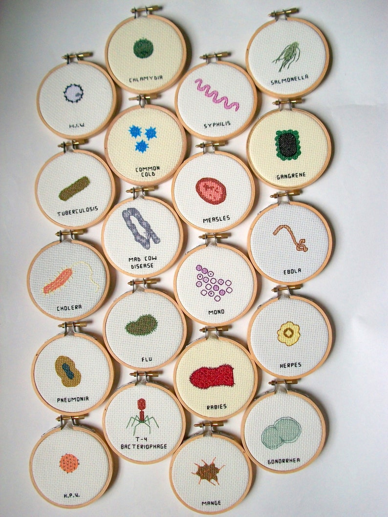 Microbe cross stitch sampler 8x10 a dozen microbes stitched for you, with a mounting board image 5