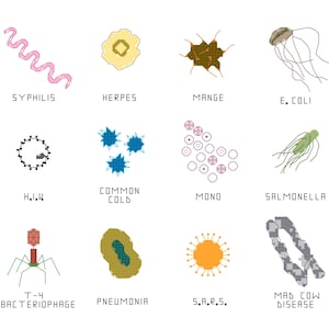 Könnte beinhalten: Eine Illustration verschiedener Krankheitserreger, darunter Syphilis, Herpes, Krätze, E. Coli, HIV, Erkältung, Mono, Salmonellen, T-4-Bakteriophage, Lungenentzündung, SARS und BSE, jeweils mit ihrem Namen beschriftet.