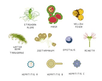 Cross Stitch Pattern -- Common Microbes, set 6, with MRSA, stalked ciliates, water bear, hepatitis, yellow fever
