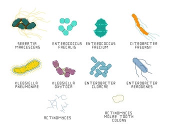 Cross Stitch Pattern -- Common Microbes, set 14