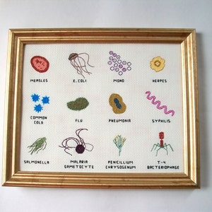 Microbe cross stitch sampler 8x10 a dozen microbes stitched for you, with a mounting board image 2