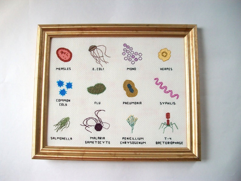 Microbe cross stitch sampler 8x10 a dozen microbes stitched for you, with a mounting board image 2