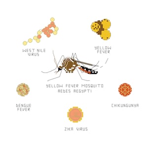 Puede incluir: Ilustración de un mosquito de la fiebre amarilla, Aedes aegypti, rodeado de gráficos que representan virus: West Nile, Dengue, Fiebre Amarilla, Chikungunya y Zika. Etiquetas de texto identifican cada virus.