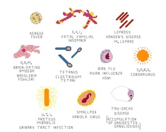 Cross Stitch Pattern -- Common Microbes, set 4