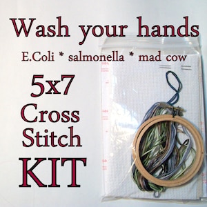 Cross Stitch Kit -- Wash your hands 5x7 DIY kit, with E. coli, salmonella, mad cow/common cold/C Diff and materials you need to stitch 'em