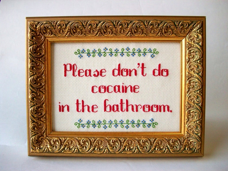 Please don't do cocaine in the bathroom Cross Stitch let people know how not to use your loo image 1