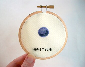 Epistylis cross stitch microbe -- ciliated protozoan, grows in water and on fish, medical or science stitchery, cross-section