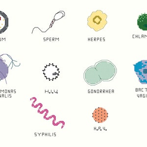 Peut inclure: Un schéma illustré de diverses infections sexuellement transmissibles (IST) et d'éléments reproducteurs. L'image comprend des dessins étiquetés d'ovule, de spermatozoïde, d'herpès, de chlamydia, de trichomonas vaginalis, du VIH, de la gonorrhée, de la vaginose bactérienne, de la syphilis et du VPH.