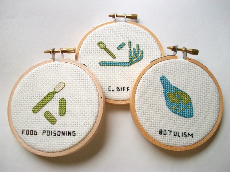 Food Poisoning microbe germ cross stitch, microbe needlework for scientists and other cool people image 3