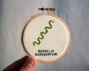 Lyme Disease cross stitch -- microbe Borrelia Burgdoferi in stitches, for science geeks or anyone who beat Connecticut's most famous disease