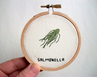 Salmonella cross stitch -- geek stitchery for med student or biology major or an unlucky