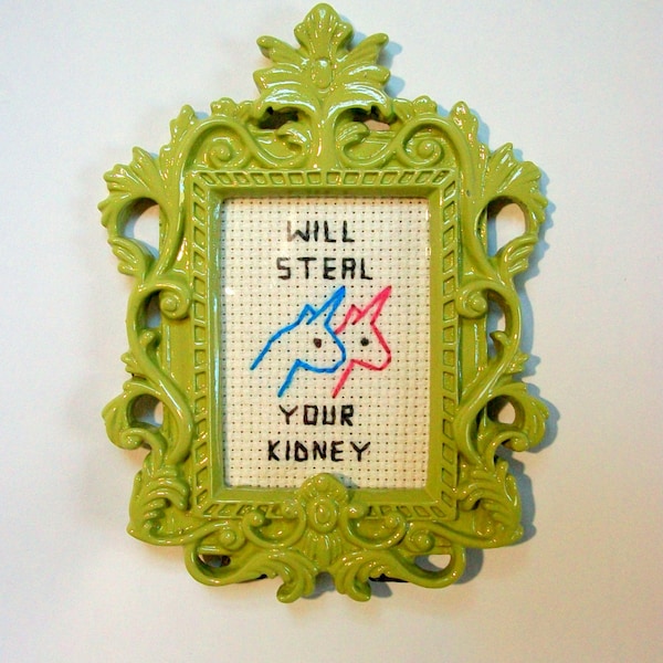 Steal Your Kidney - Charlie the Unicorn cross stitch, framed