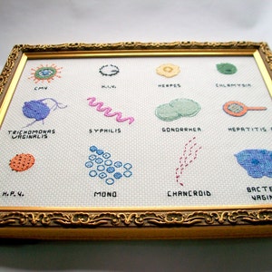 Microbe cross stitch sampler 8x10 a dozen microbes stitched for you, with a mounting board image 3