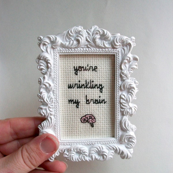 Wrinkling my brain cross stitch, completed cross stitch in small white ornate frame