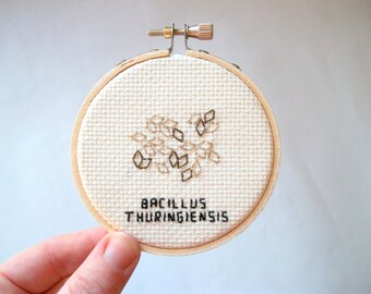 Bacillus thuringiensis microbe -- microbe cross stitch, for science geeks and the people who love them