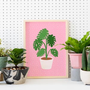 May include: A framed print of a green monstera plant in a white pot on a pink background with white polka dots.