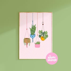 Hanging Plants Print | Colourful Botanical Illustration