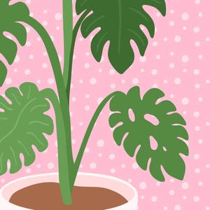 Monstera Print, House plant poster, Colourful bathroom decor, Prints for bedroom, Pink wall art, Gift for plant Mum | A3 A4 A5 8x10 5x7 4x6 image 6