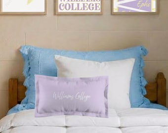 Dekorativ kudde från Williams College | Rumsdekor från Williams College | Kudde från College | Gåva från Williams College