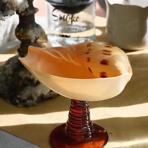 Mango Seashell Goblet, Amber Brown Glass Stem Shell Chalice, Unique Barware Art Decor