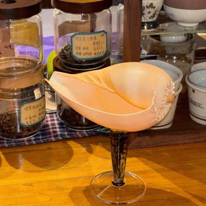 Yellow Melon Seashell Goblet, Leopard Print Stem Chalice, Unique Barware Art Decor