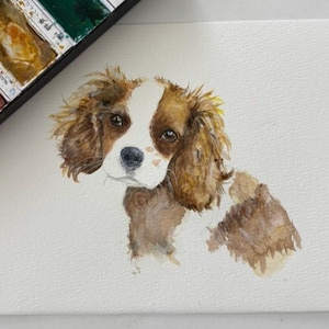 May include: A watercolour painting of a Cavalier King Charles Spaniel dog with brown and white fur. The dog has long, wavy ears, dark eyes, and a black nose. The painting is rendered on textured white paper with visible brushstrokes and paint.
