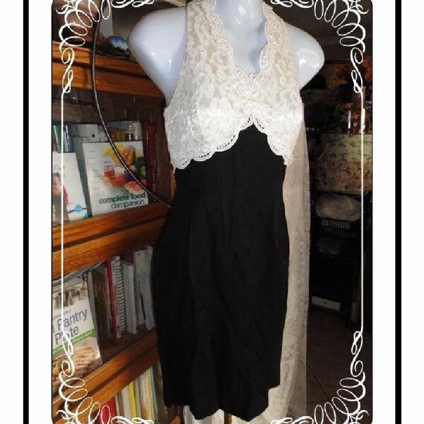 Lace Top Dress - Bewitching Black and White by Scott McClintock Petites  CLO-008a-092913000