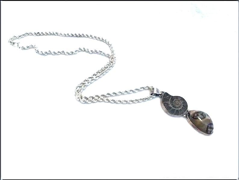Stunning Sea Shell Vintage Necklace Silver Chain Pendant Neck-10181a-021419020