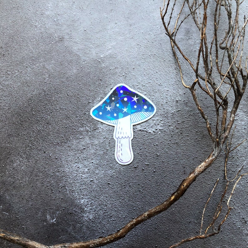 Toadstool FRIDGE MAGNET with holographic effect, mushroom fridge magnet, celestial kitchen accessory, witchy magnet image 2
