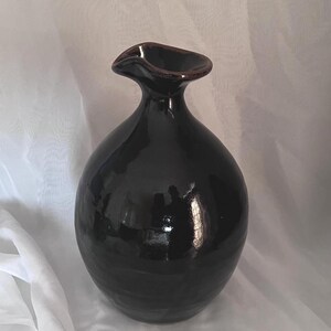 May include: A glossy, dark brown ceramic vase with a rounded, bulbous body and a narrow, flared neck. The opening at the top features a distinct, asymmetrical spout-like curve, and the surface has a reflective finish with subtle highlights.