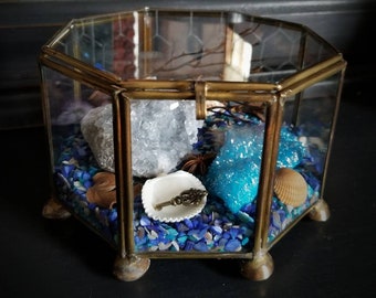 Aqua Aura Crystal Garden Terrarium - Healing Crystals - Terrarium Kit - Altar decor - Raw Crystals and Stones - Wiccan - Pagan - Witch
