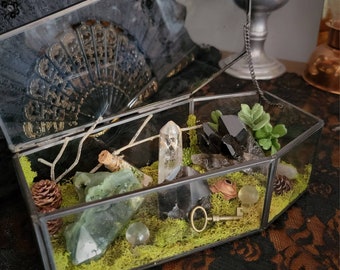 Coffin Crystal Garden - Crystal Terrarium - Casket Box Terrarium - Glass Crystal Display - Witch - Witchcraft - Cottagecore - Spooky Decor