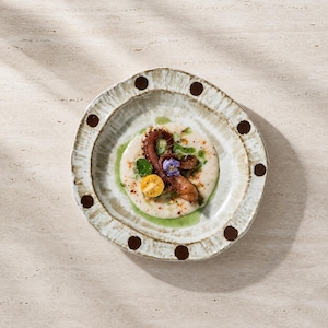 Assiette plate rustique japonaise en céramique, plat en faïence mouchetée Wabi Sabi (18,5 cm de diamètre)