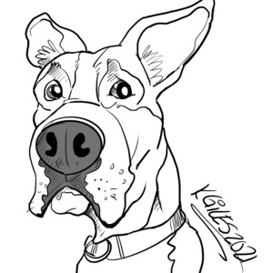 Caricature | Pet Only