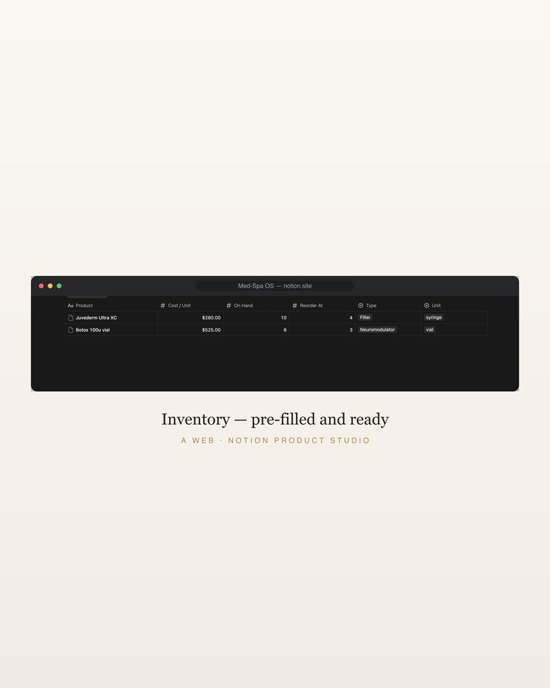 Med Spa Notion Template, Aesthetic Practice OS, Treatment Inventory and Membership Manager, Esthetician Business Planner, Instant Download image 4