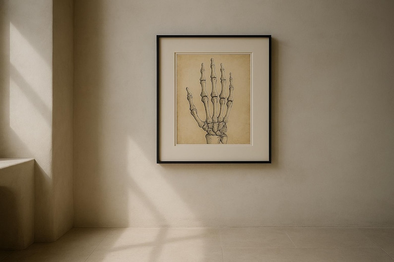 Anatomy Line Art Set of 12, Vintage Medical Body Drawings, Da Vinci Anatomy Sketch Prints, Dark Academia Wall Art, Digital Download image 2