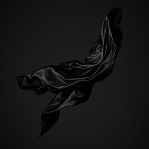 Zestaw 8 czarnych jedwabnych grafik ściennych Stillwind, rzeźbiarskie abstrakcyjne wydruki artystyczne, ciemna minimalistyczna monochromatyczna dekoracja, pobieranie cyfrowe zdjęcie 8