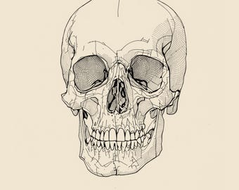 Anatomy Line Art Set of 12, Vintage Medical Body Drawings, Da Vinci Anatomy Sketch Prints, Dark Academia Wall Art, Digital Download