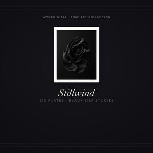 Zestaw 8 czarnych jedwabnych grafik ściennych Stillwind, rzeźbiarskie abstrakcyjne wydruki artystyczne, ciemna minimalistyczna monochromatyczna dekoracja, pobieranie cyfrowe zdjęcie 3