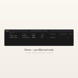 Dietitian Notion Template, Private Practice CRM, Client & Superbill Tracker, Nutrition MNT Billing, Insurance, RD Toolkit, Instant Download image 3
