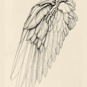 Anatomy Line Art Set of 12, Vintage Medical Body Drawings, Da Vinci Anatomy Sketch Prints, Dark Academia Wall Art, Digital Download image 7