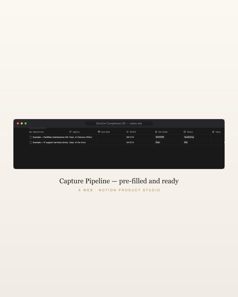 GovCon Notion Template, Federal Contracting CRM, Bid Pipeline, SAM & Set-Aside Compliance Tracker, Contractor Toolkit, Instant Download image 3