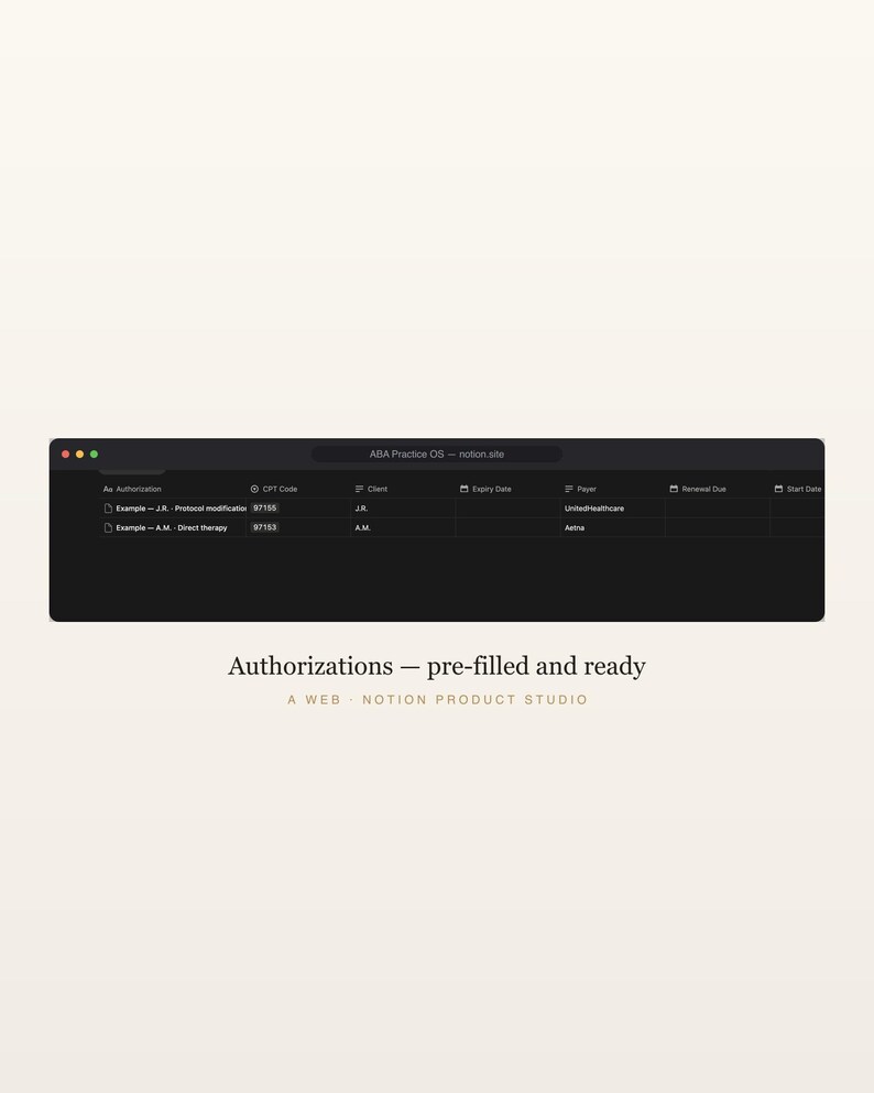 Modello di nozione di pratica ABA, strumento di monitoraggio clienti e autorizzazioni BCBA, fatturazione delle sessioni per unità CPT, kit di strumenti per analisti del comportamento, download immediato immagine 4