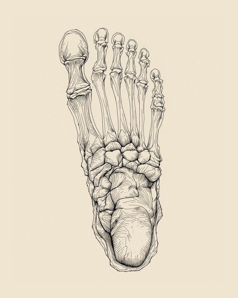 Anatomy Line Art Set of 12, Vintage Medical Body Drawings, Da Vinci Anatomy Sketch Prints, Dark Academia Wall Art, Digital Download image 9