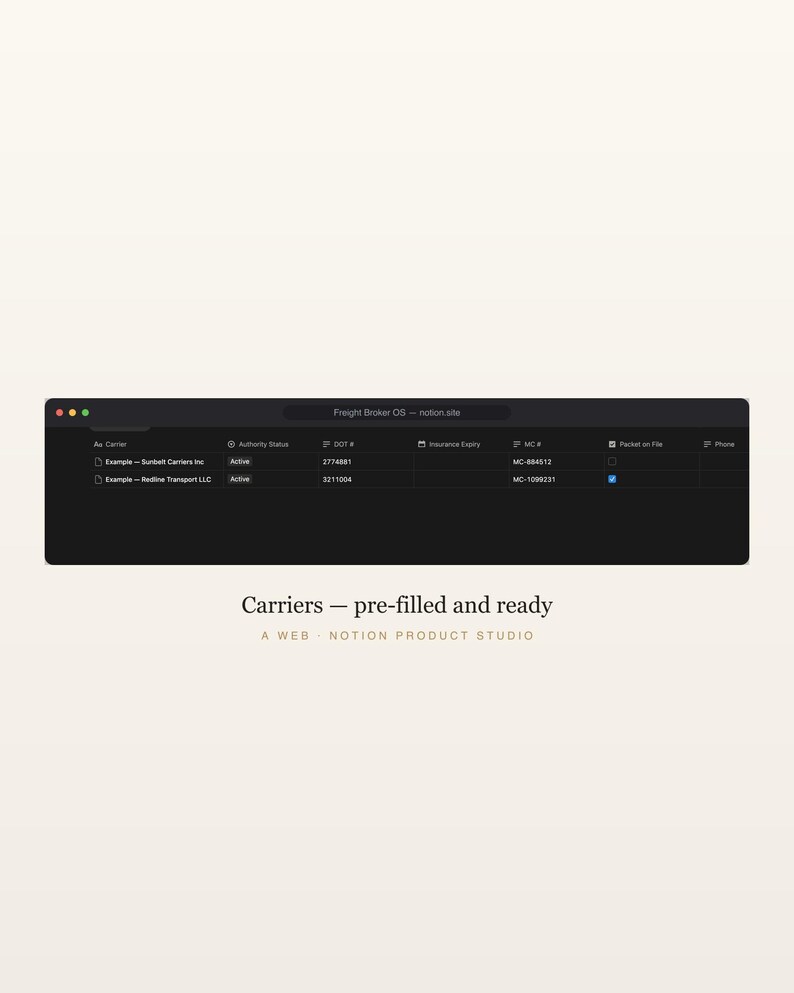 Freight Broker Notion Template, Carrier & Load Tracker, Trucking Dispatch CRM, FMCSA Compliance and Margin Tracker, Instant Download image 3